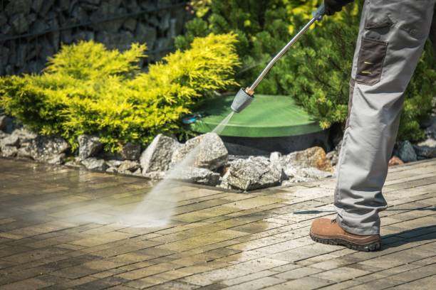 Best Playground Equipment Cleaning  in Richton Park, IL