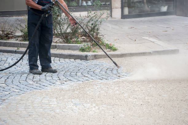 Best Gutter Cleaning  in Richton Park, IL
